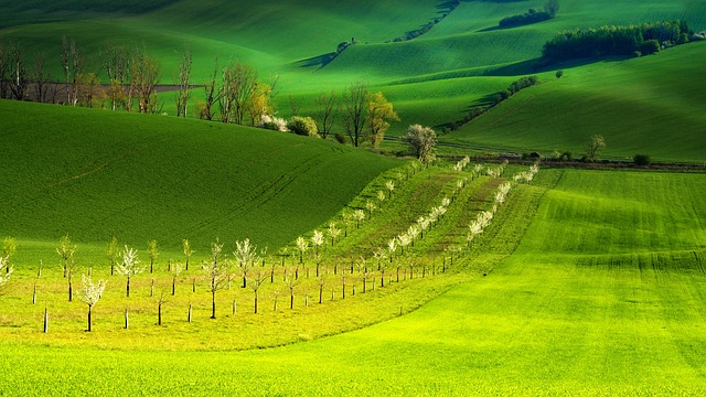jarní krajina